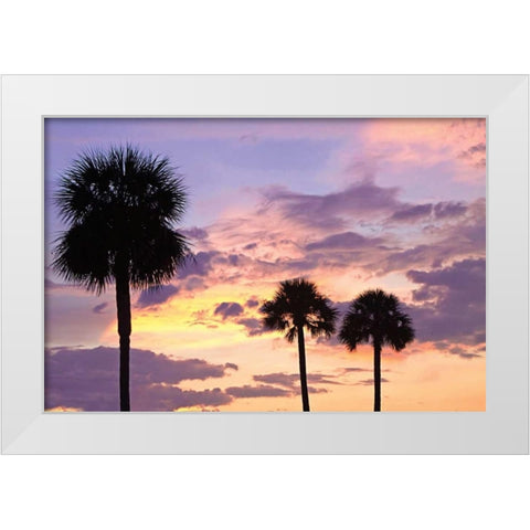 San Marcos Sunset IV White Modern Wood Framed Art Print by Hausenflock, Alan