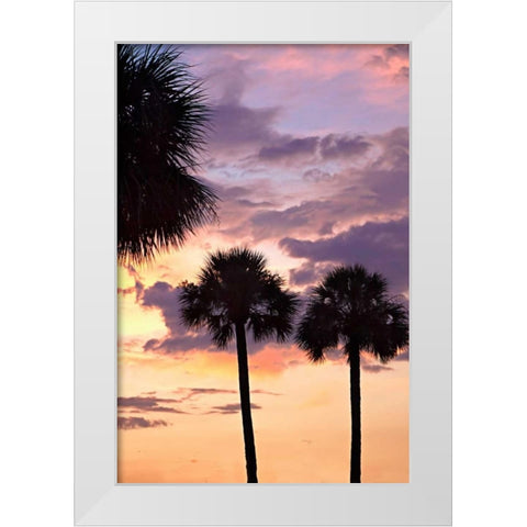 San Marcos Sunset V White Modern Wood Framed Art Print by Hausenflock, Alan