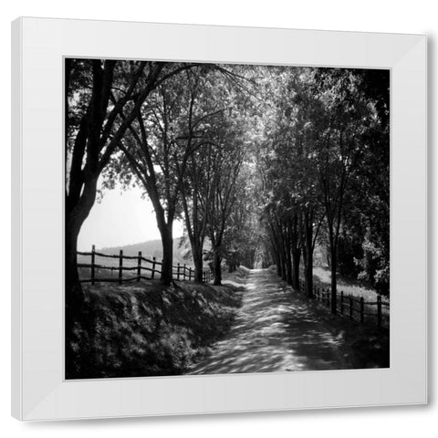Ash Lawn Square I White Modern Wood Framed Art Print by Hausenflock, Alan