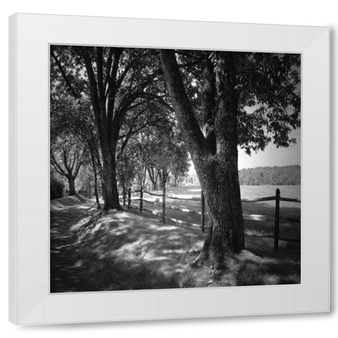 Summer Stroll Square II White Modern Wood Framed Art Print by Hausenflock, Alan