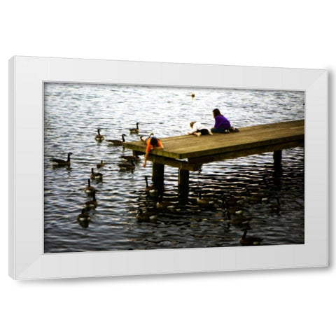 Feeding the Geese III White Modern Wood Framed Art Print by Hausenflock, Alan