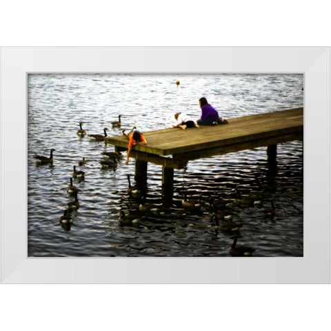 Feeding the Geese III White Modern Wood Framed Art Print by Hausenflock, Alan