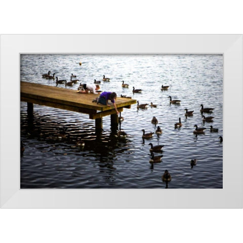 Feeding the Geese IV White Modern Wood Framed Art Print by Hausenflock, Alan