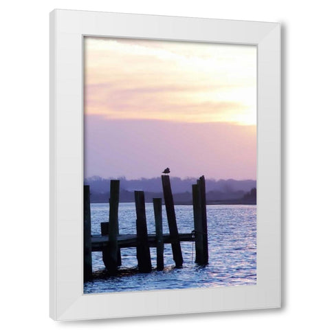 Seagulls at Sunset White Modern Wood Framed Art Print by Hausenflock, Alan