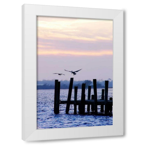 Pelican and Friend White Modern Wood Framed Art Print by Hausenflock, Alan