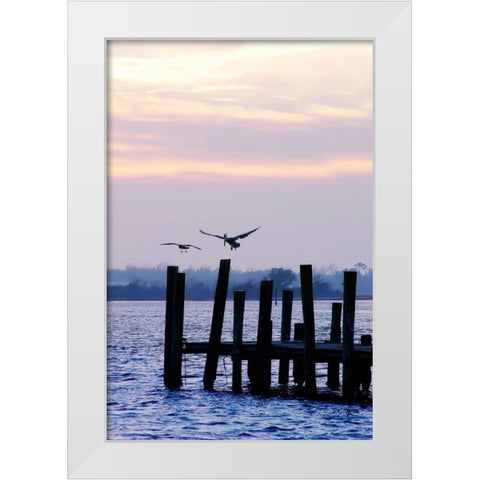 Pelican and Friend White Modern Wood Framed Art Print by Hausenflock, Alan