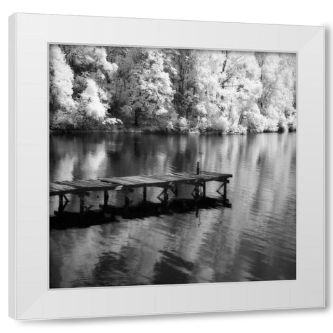 Mint Springs Lake Square III White Modern Wood Framed Art Print by Hausenflock, Alan