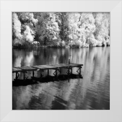 Mint Springs Lake Square III White Modern Wood Framed Art Print by Hausenflock, Alan