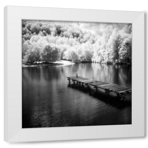 Mint Springs Lake Square IV White Modern Wood Framed Art Print by Hausenflock, Alan
