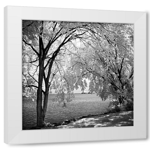 Hopewell Shores Square I White Modern Wood Framed Art Print by Hausenflock, Alan