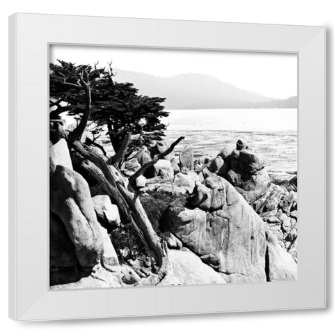 Ocean Cliff Square II White Modern Wood Framed Art Print by Hausenflock, Alan