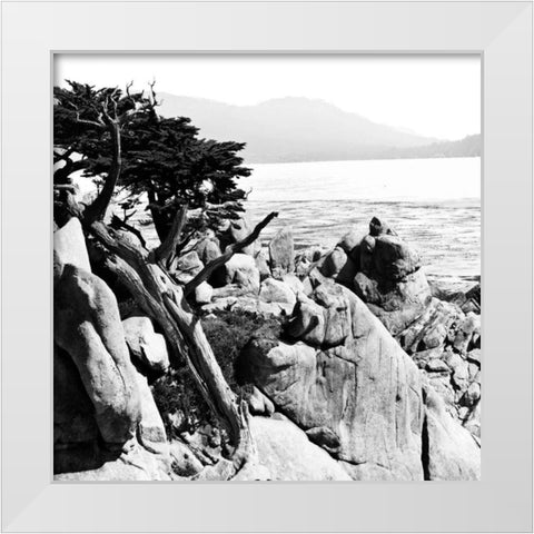 Ocean Cliff Square II White Modern Wood Framed Art Print by Hausenflock, Alan