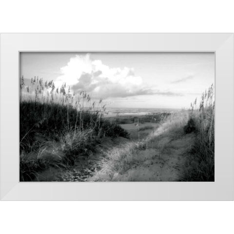 Dunes I White Modern Wood Framed Art Print by Hausenflock, Alan