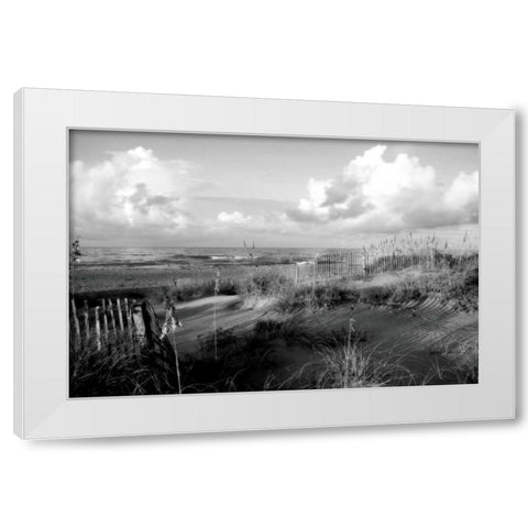 Dunes II White Modern Wood Framed Art Print by Hausenflock, Alan
