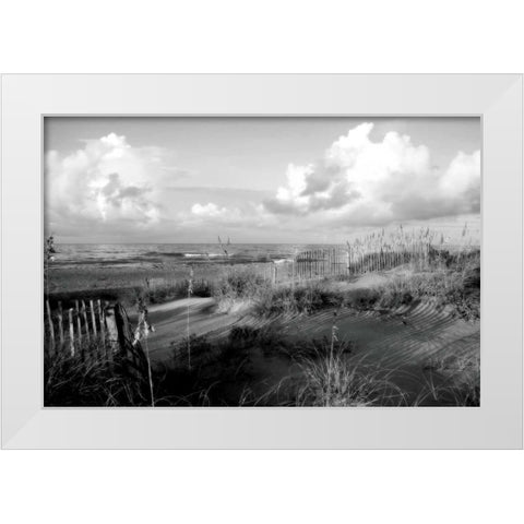 Dunes II White Modern Wood Framed Art Print by Hausenflock, Alan