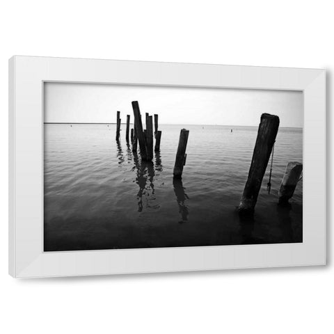 Pilings I White Modern Wood Framed Art Print by Hausenflock, Alan