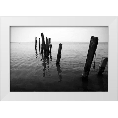 Pilings I White Modern Wood Framed Art Print by Hausenflock, Alan