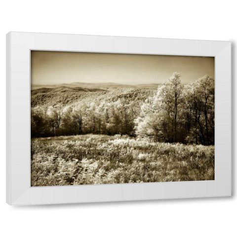 Piney Mountain II White Modern Wood Framed Art Print by Hausenflock, Alan