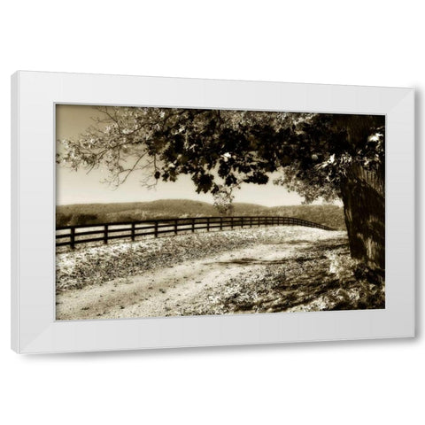 The Road Home II White Modern Wood Framed Art Print by Hausenflock, Alan