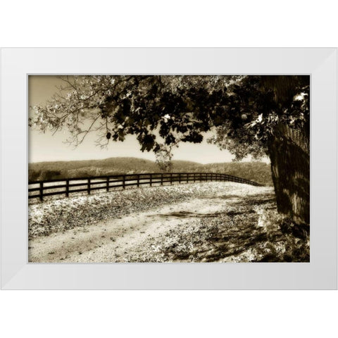The Road Home II White Modern Wood Framed Art Print by Hausenflock, Alan