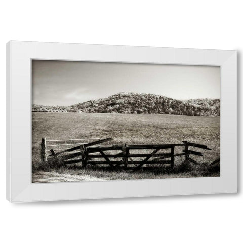 Autumn Pastures IV White Modern Wood Framed Art Print by Hausenflock, Alan