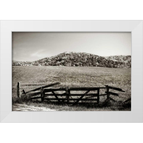 Autumn Pastures IV White Modern Wood Framed Art Print by Hausenflock, Alan