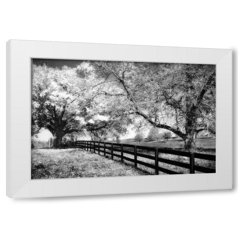 Rural Route III3 I White Modern Wood Framed Art Print by Hausenflock, Alan