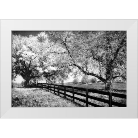 Rural Route III3 I White Modern Wood Framed Art Print by Hausenflock, Alan
