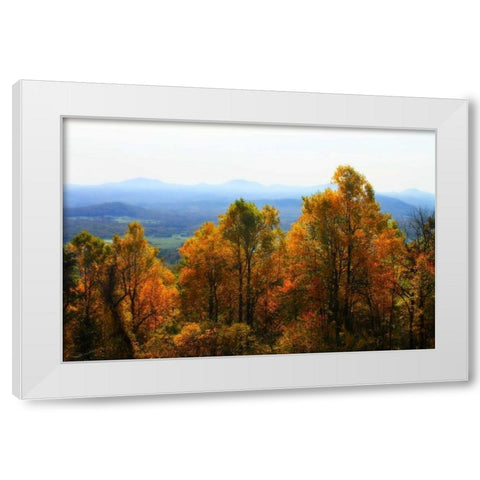 Shenandoah Valley I White Modern Wood Framed Art Print by Hausenflock, Alan