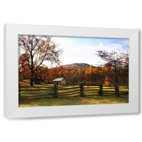 Homestead I White Modern Wood Framed Art Print by Hausenflock, Alan