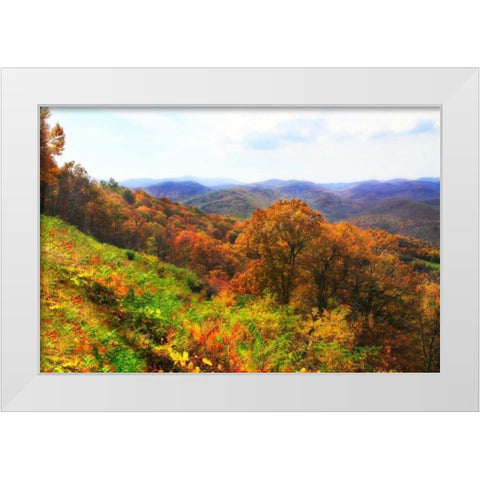 Sawmill Run White Modern Wood Framed Art Print by Hausenflock, Alan