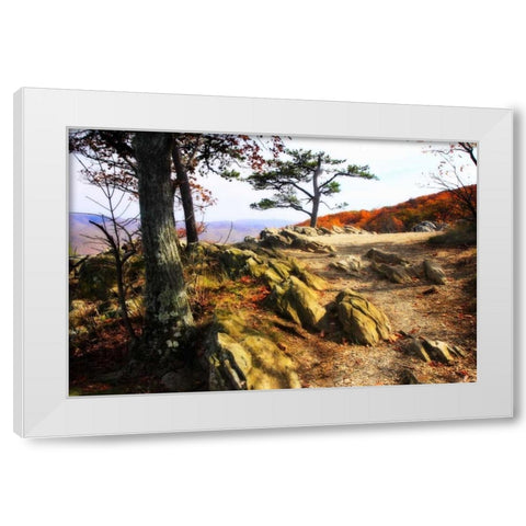 Stoney Ridge II White Modern Wood Framed Art Print by Hausenflock, Alan