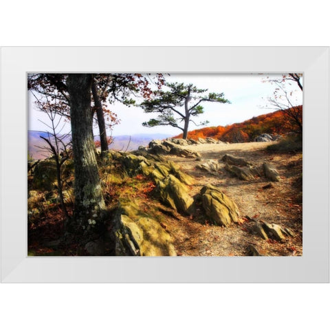 Stoney Ridge II White Modern Wood Framed Art Print by Hausenflock, Alan