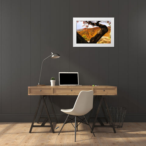 Wildcat Ridge I White Modern Wood Framed Art Print by Hausenflock, Alan