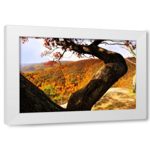 Wildcat Ridge I White Modern Wood Framed Art Print by Hausenflock, Alan
