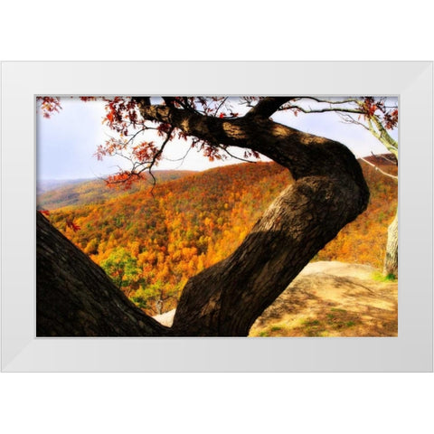 Wildcat Ridge I White Modern Wood Framed Art Print by Hausenflock, Alan