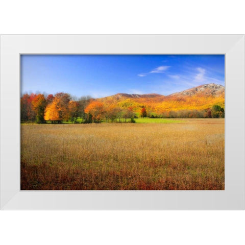 Old Rag Mountain I White Modern Wood Framed Art Print by Hausenflock, Alan