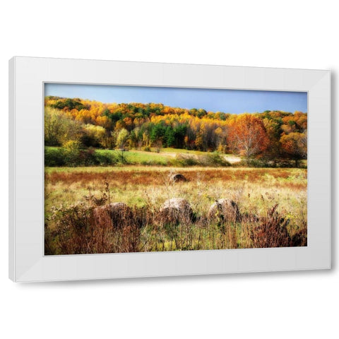 Sperryville Fields II White Modern Wood Framed Art Print by Hausenflock, Alan