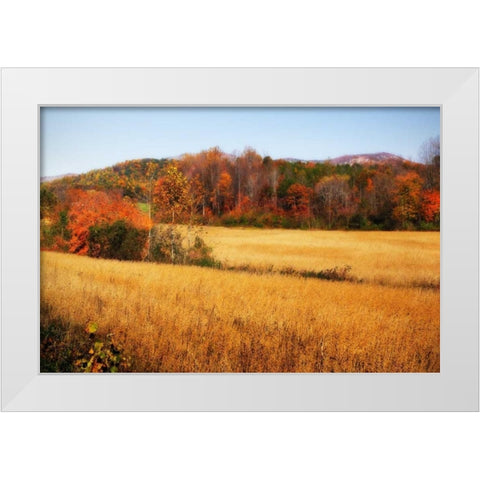 Sperryville Fields IV White Modern Wood Framed Art Print by Hausenflock, Alan