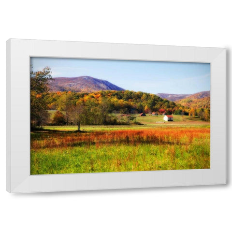 Autumn Fields II White Modern Wood Framed Art Print by Hausenflock, Alan