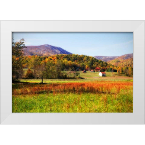 Autumn Fields II White Modern Wood Framed Art Print by Hausenflock, Alan