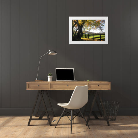 Hillside Farm II White Modern Wood Framed Art Print by Hausenflock, Alan