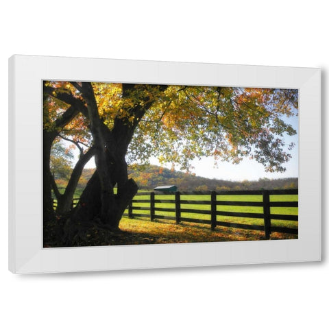 Hillside Farm II White Modern Wood Framed Art Print by Hausenflock, Alan