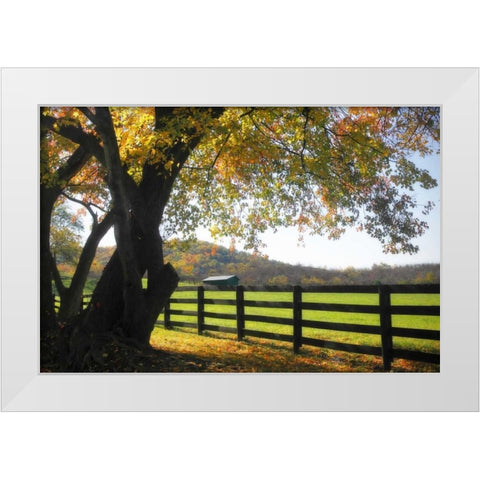 Hillside Farm II White Modern Wood Framed Art Print by Hausenflock, Alan