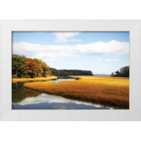 Kings Creek II White Modern Wood Framed Art Print by Hausenflock, Alan