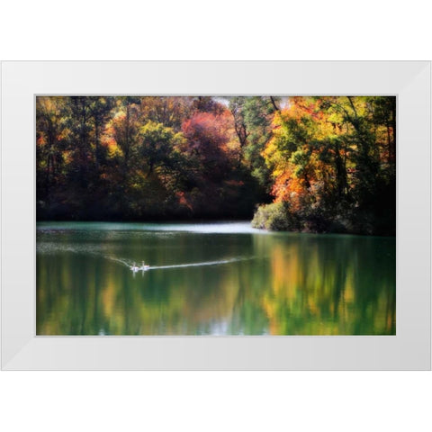 Swans on the Lake I White Modern Wood Framed Art Print by Hausenflock, Alan