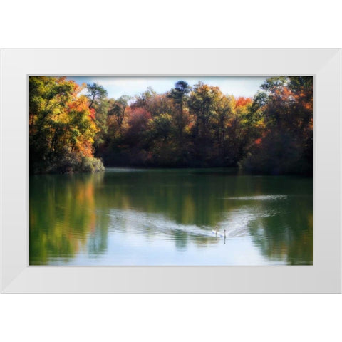 Swans on the Lake II White Modern Wood Framed Art Print by Hausenflock, Alan