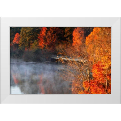 Cold Autumn Morning II White Modern Wood Framed Art Print by Hausenflock, Alan