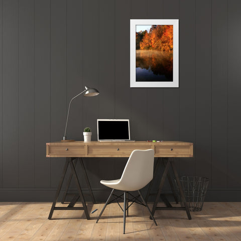 Autumn Mist II White Modern Wood Framed Art Print by Hausenflock, Alan