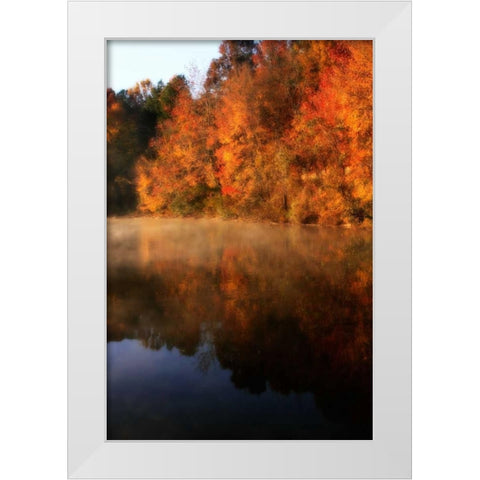 Autumn Mist II White Modern Wood Framed Art Print by Hausenflock, Alan